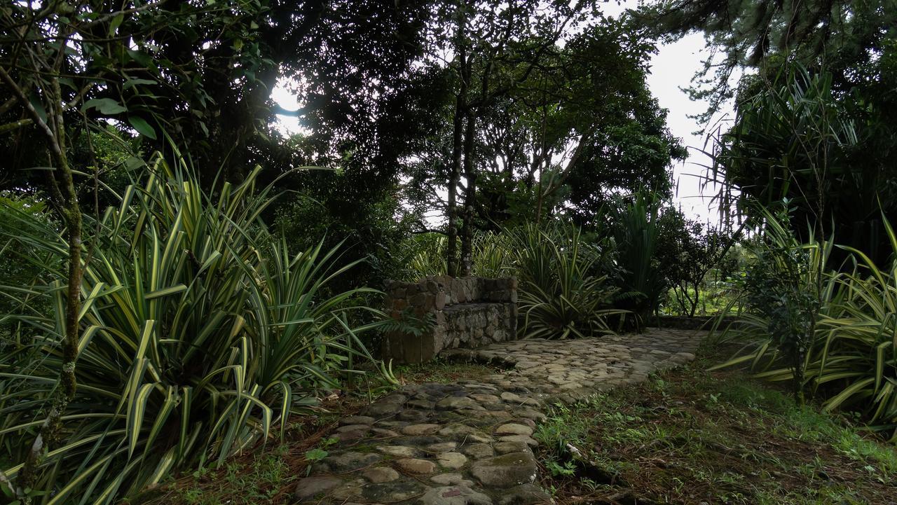 Malekus Mountain Lodge Aguas Claras  Exterior foto